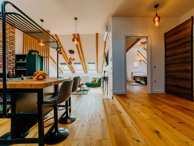 Telluride Apartment