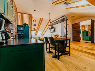 Telluride Apartment
