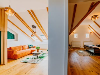 Telluride Apartment
