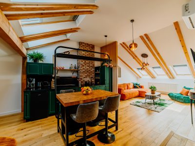 Telluride Apartment
