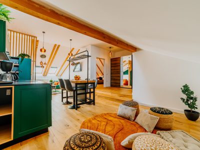 Telluride Apartment