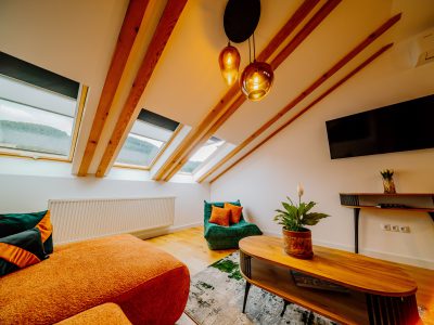 Telluride Apartment